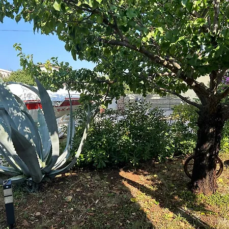 Hébergement de vacances House 82 *