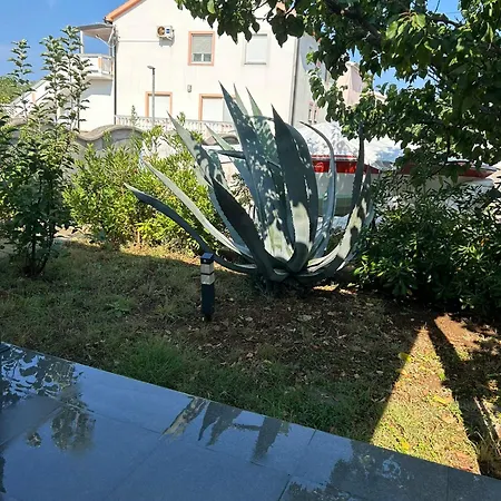 Hébergement de vacances House 82 Vrsi