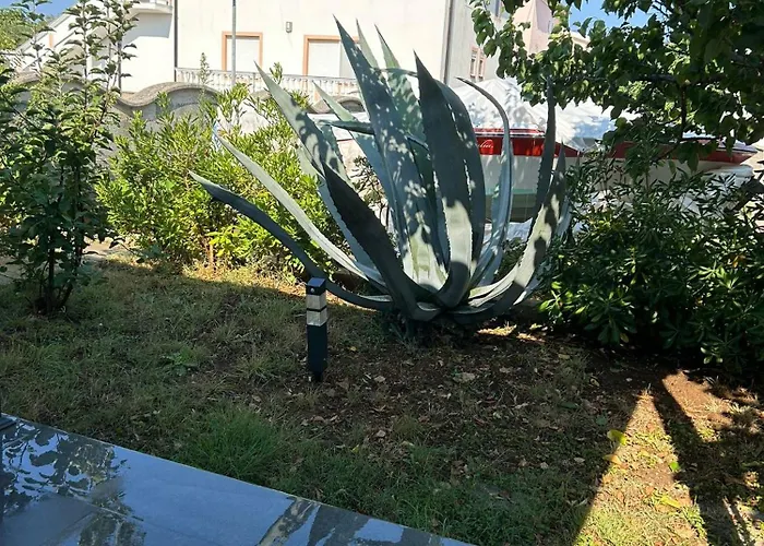 Hébergement de vacances House 82 Vrsi